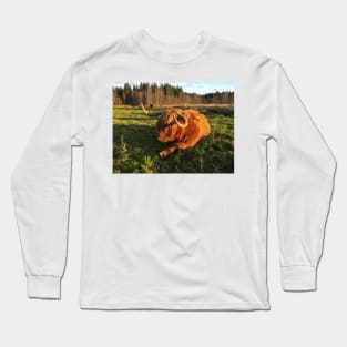 Scottish Highland Cattle Cow 2148 Long Sleeve T-Shirt